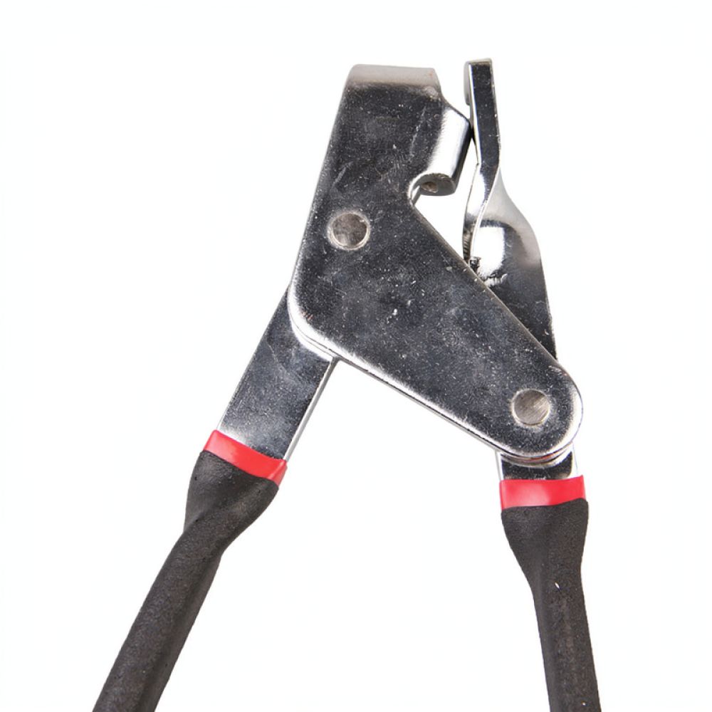 Tronchese professionale per ca - Cycling Gear And Equipment recensione e prezzo